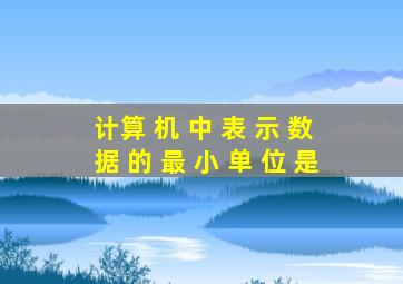 计算 机 中 表 示 数 据 的 最 小 单 位 是
